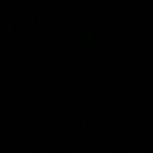 Meet your Posher, Lilly